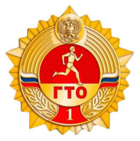 Какие привилегии дает знак ГТО Какие привилегии дает знак ГТО.